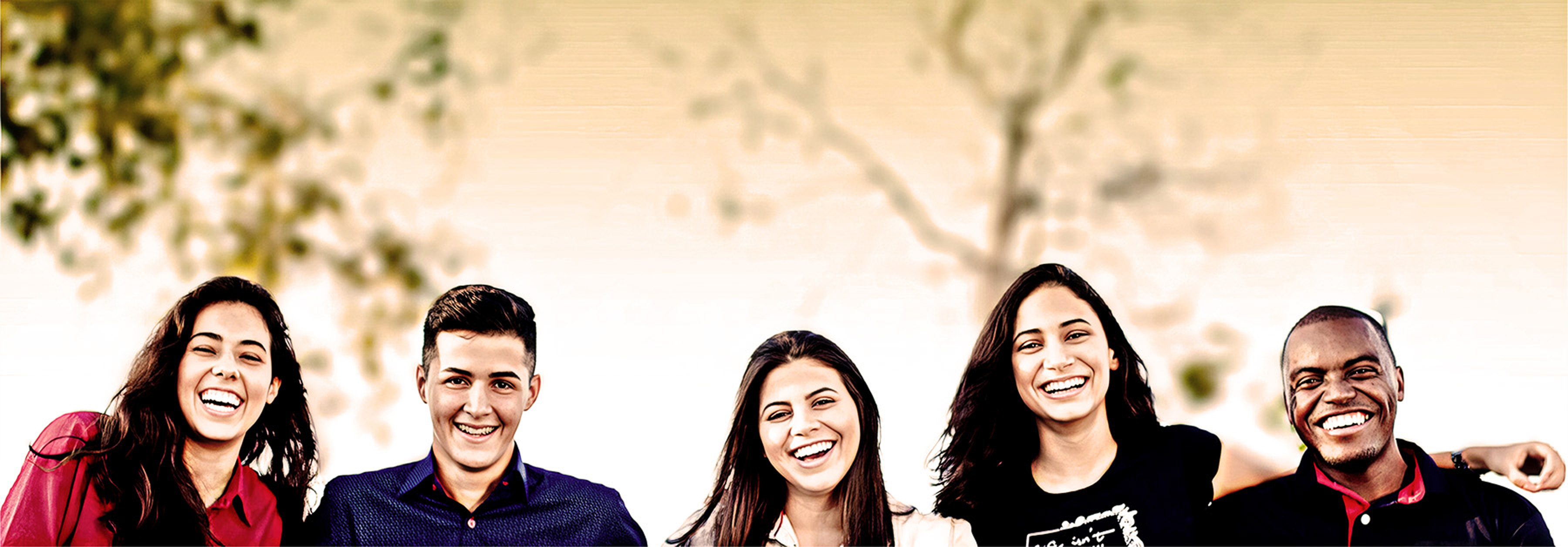 Fulbright Canada-Mitacs Globalink Research Internship